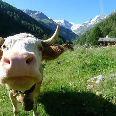 Hubelhaus, Freistehende Wohlfuehloase An Sehr Schoener Lage Σπίτι διακοπών