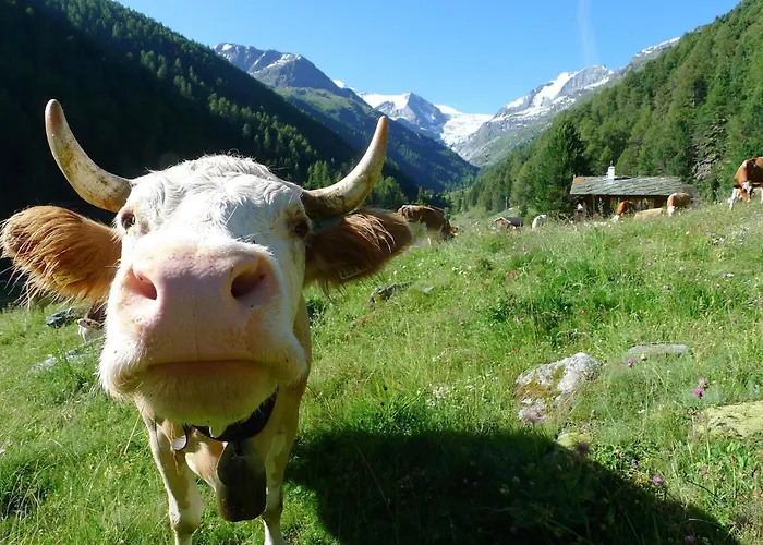 Hubelhaus, Freistehende Wohlfuehloase An Sehr Schoener Lage Σπίτι διακοπών